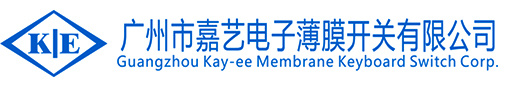 大鸡吧插进逼逼里视频